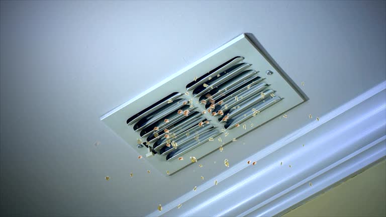 Best Professional Duct Cleaning Services  in Dennis Port, MA